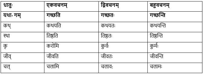 बुद्धि: सर्वार्थसाधिका NCERT Solutions | Sanskrit for class 6