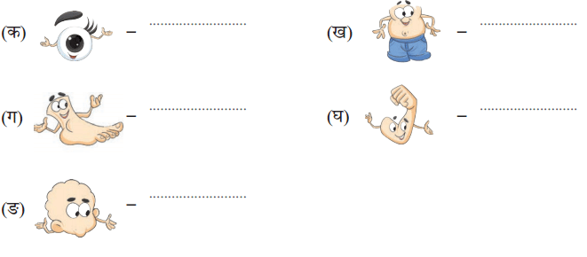 माधवस्य प्रियम् अङ्गम् NCERT Solutions | Sanskrit for class 6
