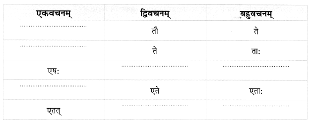 Worksheet: अहं च त्वं च | Sanskrit for class 6