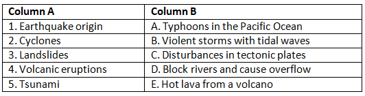 Worksheet Solutions: Natural Disasters | Be an Explorer 5: Book Solutions, Notes & Worksheets - Class 5