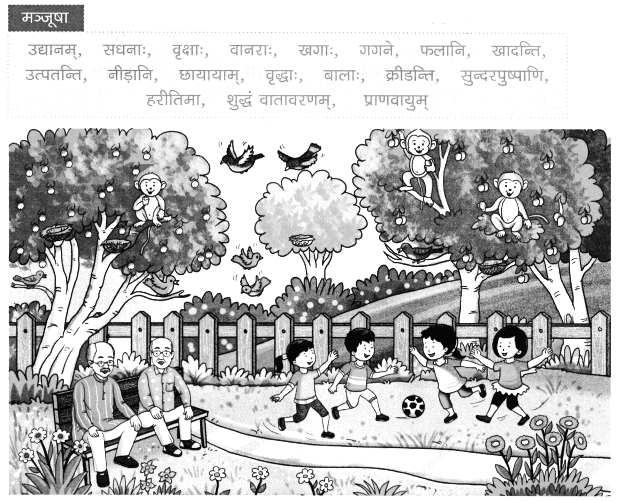 Worksheet: वृक्षाः सत्पुरुषाः इव | Sanskrit for class 6
