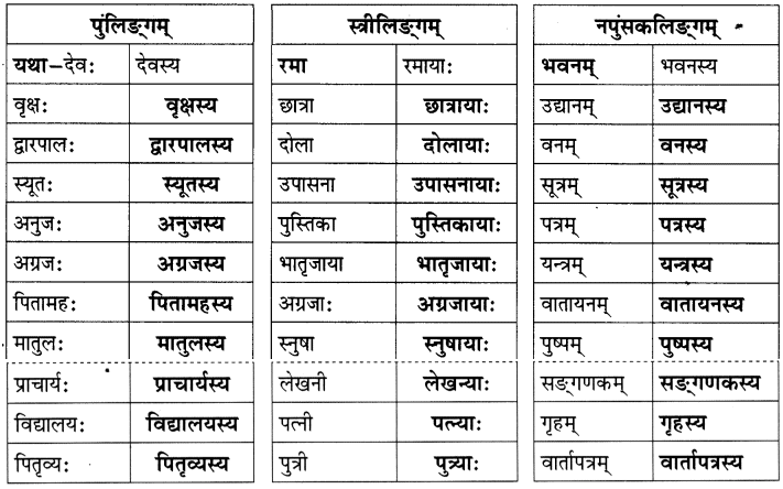 यो जानाति सः पण्डित: NCERT Solutions | Sanskrit for class 6