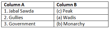 Textbook Solutions: Saudi Arabia (A Country in the Hot Desert Region) | Be an Explorer 5: Book Solutions, Notes & Worksheets - Class 5