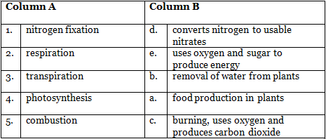 Textbook Solutions: Air Around Us. | Eureka Plus Class 6: Book Solutions, Notes & Worksheets