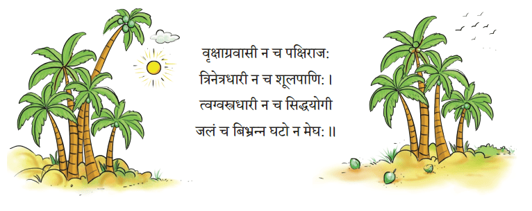 वृक्षा: सत्पुरुषा: इव NCERT Solutions | Sanskrit for class 6