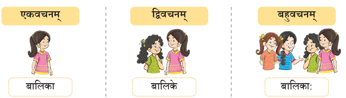 एषः कः ? एषा का ? एतत् किम् ? Chapter Notes | Sanskrit for class 6