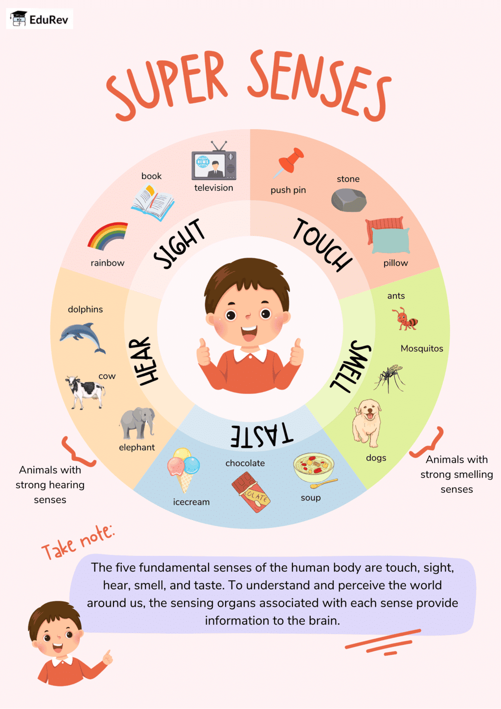 Poster: Super Senses | EVS Class 5