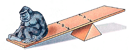 Textbook Solutions: Simple Machine | Eureka Plus Class 5: Book Solutions, Notes & Worksheets
