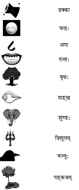 वयम् अभ्यासं कुर्मः