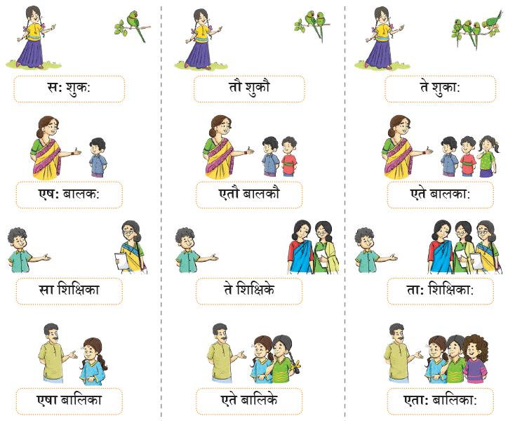 एषः कः ? एषा का ? एतत् किम् ? Chapter Notes | Sanskrit for class 6
