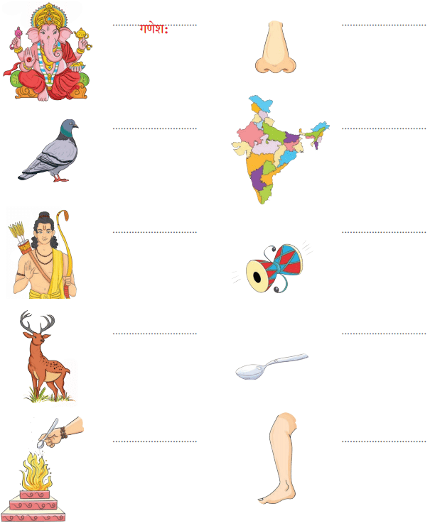 वयम् अभ्यासं कुर्मः