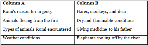 Flames in the Forest Class 7 Worksheet English Oxford