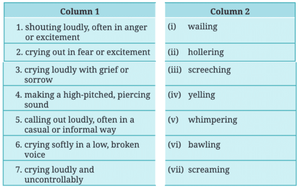 NCERT Solutions for Class 7 English Unit 4 Travel