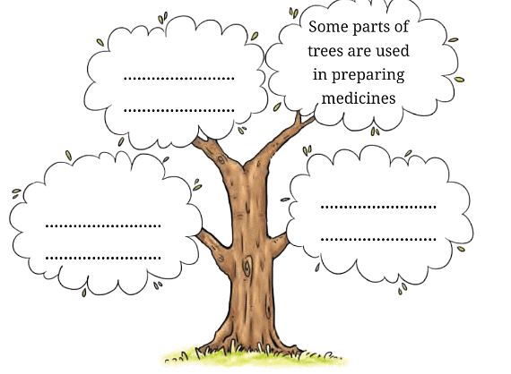 Neem Baba NCERT Solutions | English Class 6 (Honeysuckle)