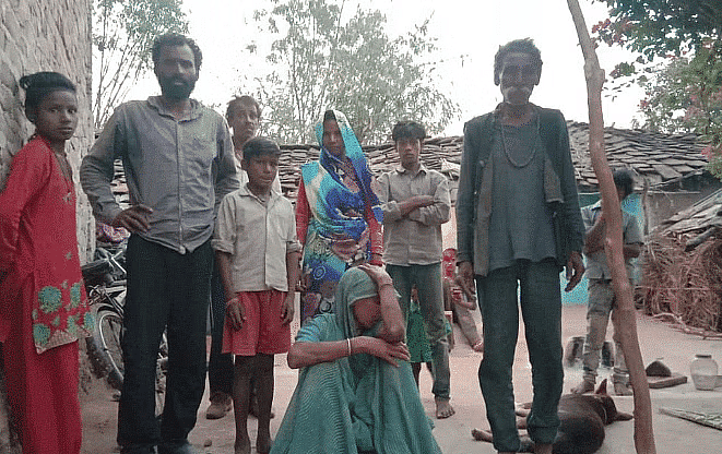 Worksheet: A Snake Charmer’s Story - 2 | EVS Class 5