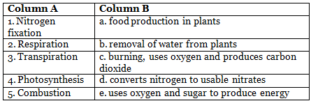 Worksheet: Air Around Us. | Chemistry for SSS 2