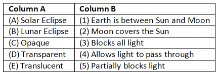 Worksheet Solutions: The Sun, Earth and Moon— Light and Shadows | Eureka Plus Class 5: Book Solutions, Notes & Worksheets