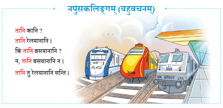 एषः कः ? एषा का ? एतत् किम् ? Chapter Notes | Sanskrit for class 6
