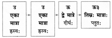 वयम् अभ्यासं कुर्मः