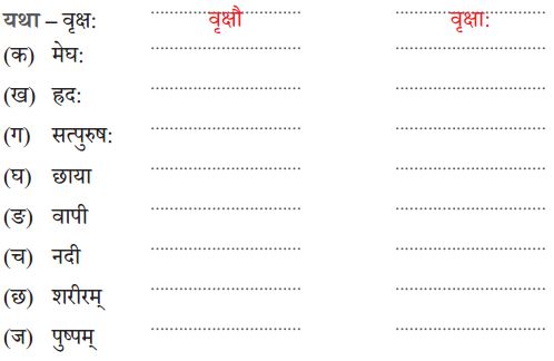 वृक्षा: सत्पुरुषा: इव NCERT Solutions | Sanskrit for class 6