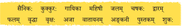 एष: क: ? एषा का ? एतत् किम् ? NCERT Solutions | Sanskrit for class 6
