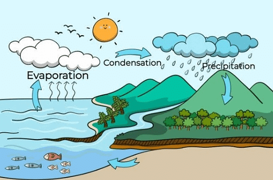 The Earth-Our World - 2 Class 5 Worksheet SST
