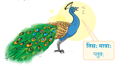 वयम् अभ्यासं कुर्मः