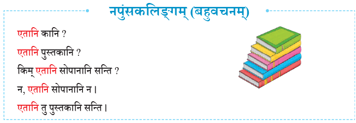 एषः कः ? एषा का ? एतत् किम् ? Chapter Notes | Sanskrit for class 6