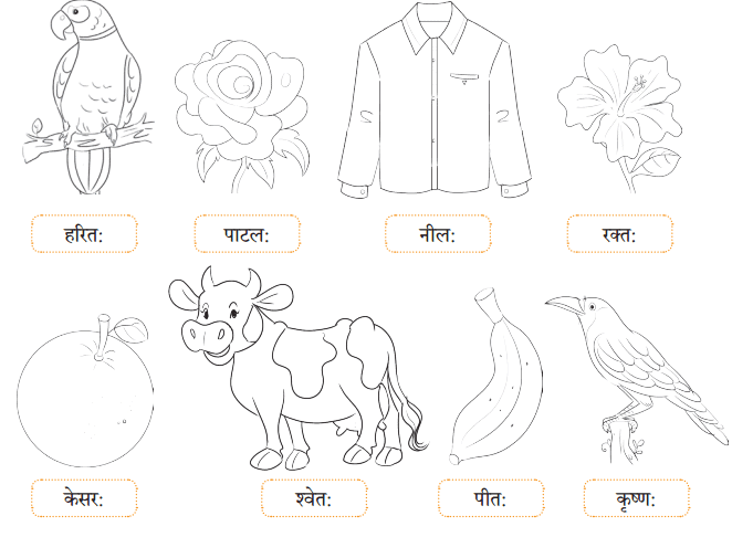 सः एव महान् चित्रकार: NCERT Solutions | Sanskrit for class 6