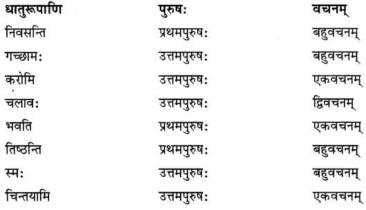 बुद्धि: सर्वार्थसाधिका NCERT Solutions | Sanskrit for class 6