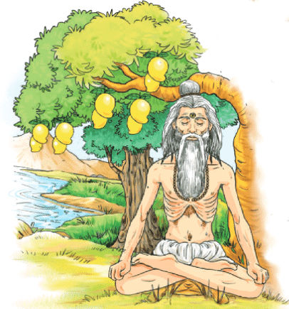वृक्षाः सत्पुरुषाः इव Chapter Notes | Sanskrit for class 6