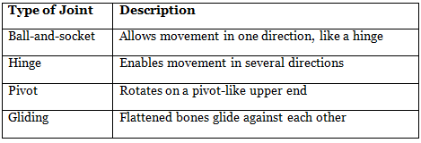 Body Movements Class 6 Worksheet Science Chapter 5