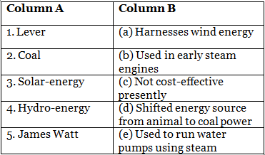The Machine Age - 2 Class 5 Worksheet SST