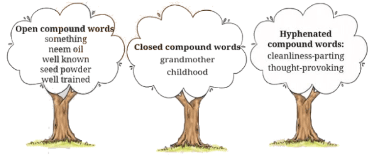 Neem Baba NCERT Solutions | English Class 6 (Honeysuckle)