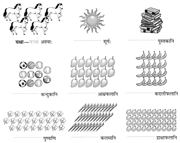 Worksheet: सङ्ख्यागणना ननु सरला | Sanskrit for class 6