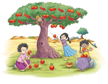 बुद्धि: सर्वार्थसाधिका NCERT Solutions | Sanskrit for class 6