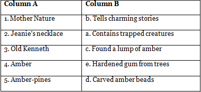 The Story of Amber Beads Class 6 Worksheet New Pathways
