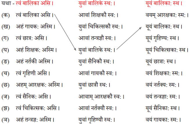अहं च त्वं च NCERT Solutions | Sanskrit for class 6