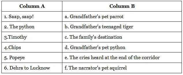 Travelling with Grandfather`s Zoo Class 6 Worksheet English Skylark