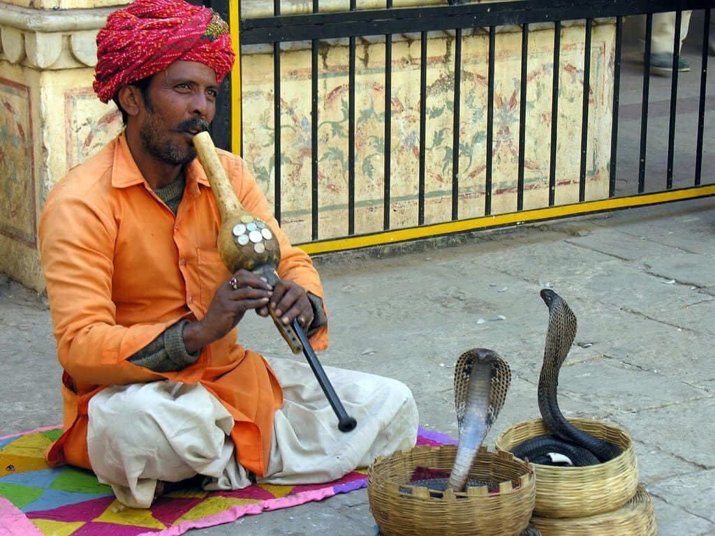 Snake Charmer