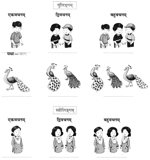 Worksheet: एष: क: ? एषा का ? एतत् किम् ? | Sanskrit for class 6