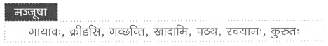 Worksheet: माधवस्य प्रियम् अङ्गम् | Sanskrit for class 6
