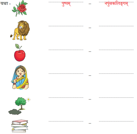 पृथिव्यां त्रीणि रत्नानि NCERT Solutions | Sanskrit for class 6