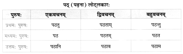 Worksheet: अतिथिदेवो भव | Sanskrit for class 6