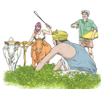 पृथिव्यां त्रीणि रत्नानि Chapter Notes | Sanskrit for class 6