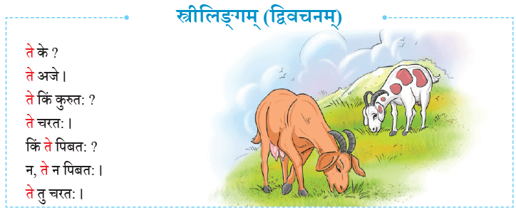 एषः कः ? एषा का ? एतत् किम् ? Chapter Notes | Sanskrit for class 6