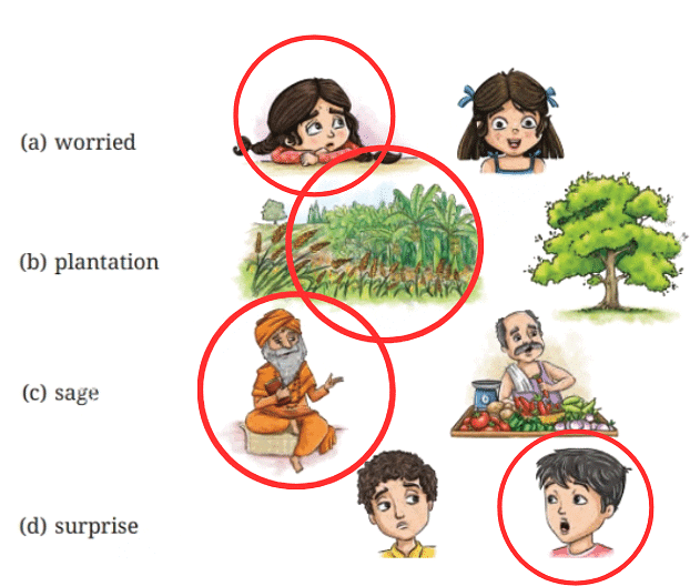 A Bottle of Dew NCERT Solutions | English Class 6 (Honeysuckle)