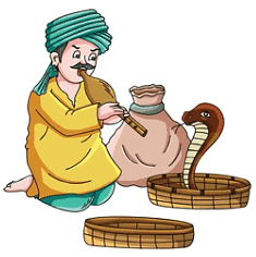 Worksheet: A Snake Charmer’s Story - 2 | EVS Class 5