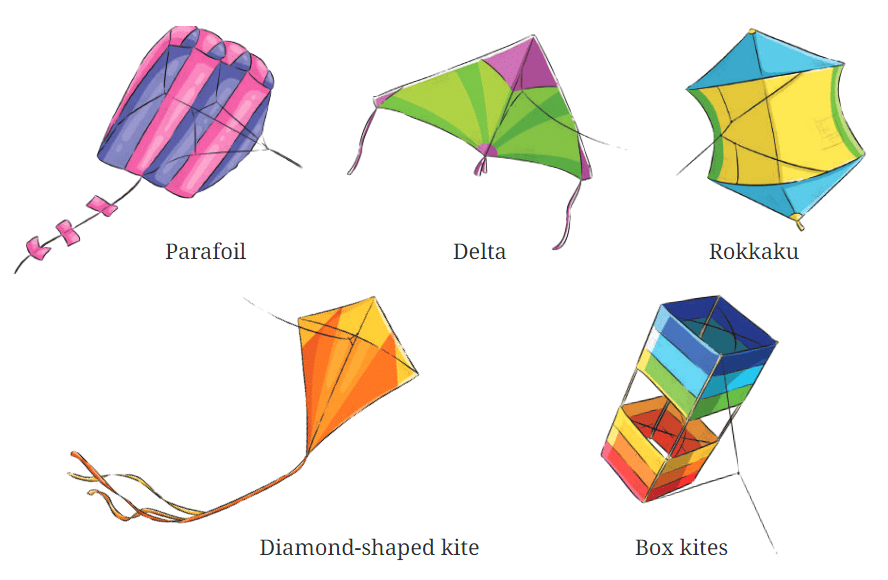 The Kites NCERT Solutions | English Class 6 (Honeysuckle)