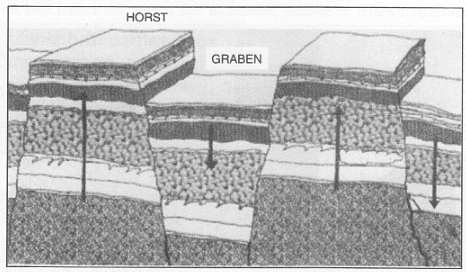 Class 5 SST HOTS Questions - Major Landforms